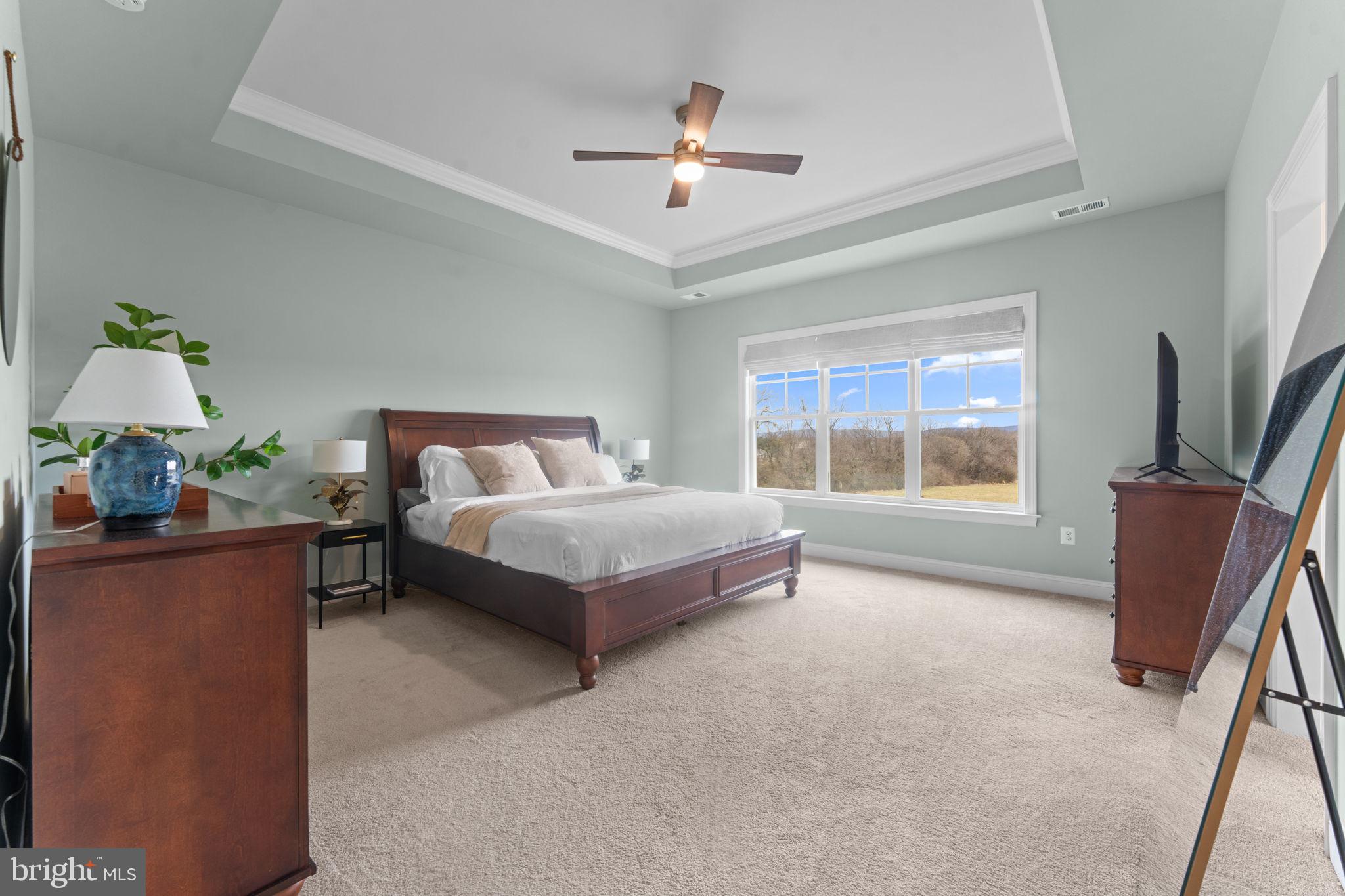 16756 Misty Ridge Lane Purcellville, VA 20132 - Photo 41 of 92 a spacious bedroom with a bed and a chandelier