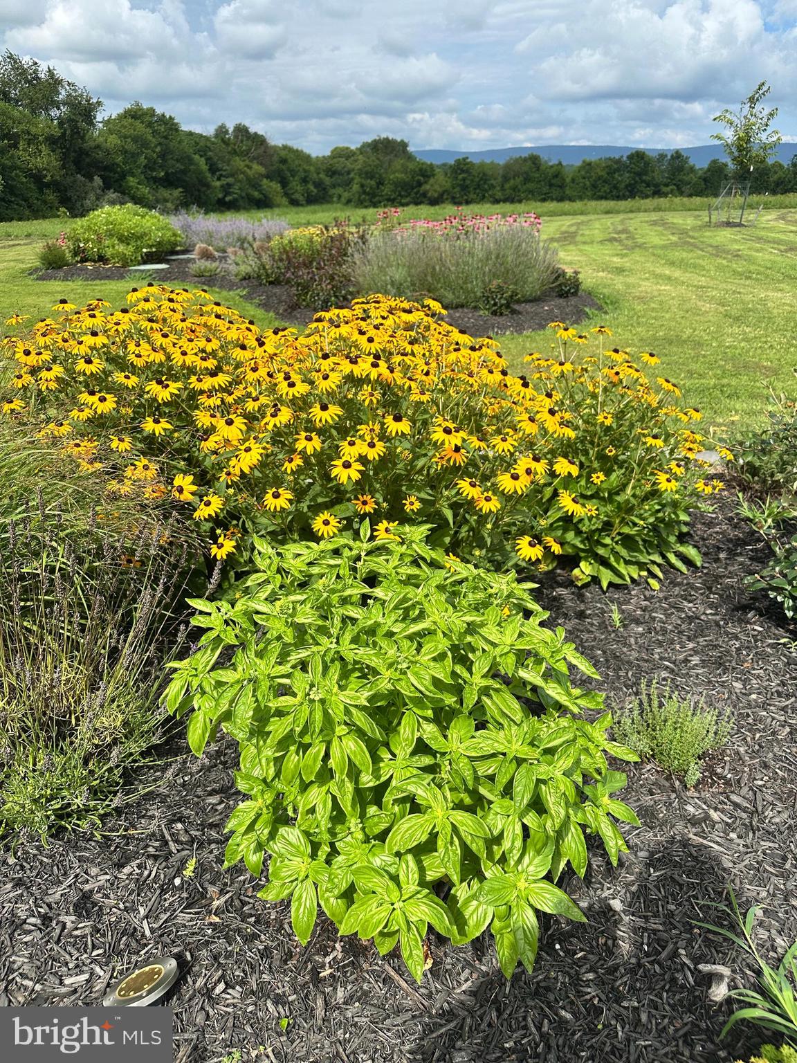 16756 Misty Ridge Lane Purcellville, VA 20132 - Photo 77 of 92 a view of lake with green yard