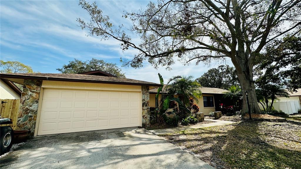 1670 Monterey Drive Clearwater, FL 33756 - Photo 17 of 20 Gallery Image 17
