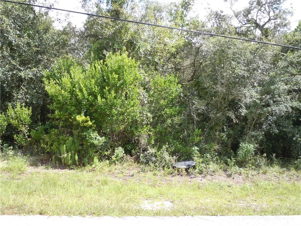 O Weldon Street New Port Richey, FL 34654 - Photo 1 of 1