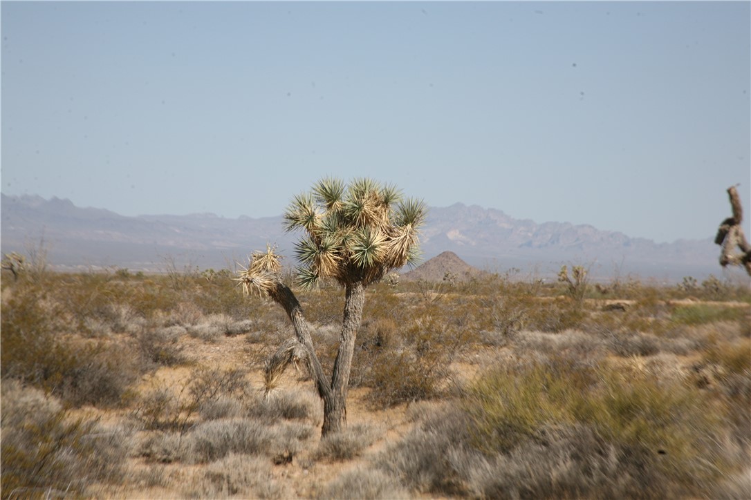 245-18-266 Alan Road Yucca, AZ 86438 - Photo 15 of 54