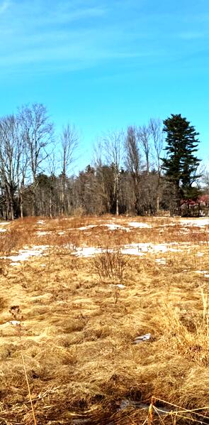 30 Curtis Farm Road Buxton, ME 04093 - Photo 4 of 4 unnamed