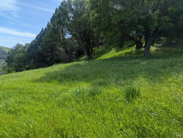 $995,000 | 1163 Meadowsweet Drive, Corte Madera, CA 94925