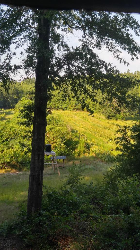 2707 Raborn Road Hephzibah, GA 30815 - Photo 1 of 10 Main View