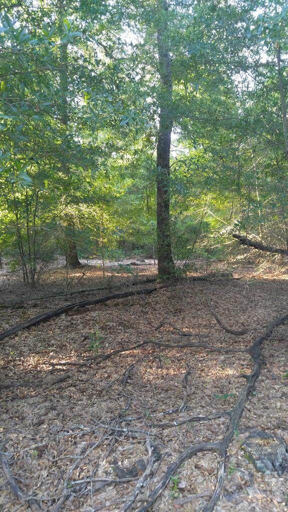 2707 Raborn Road Hephzibah, GA 30815 - Photo 2 of 10