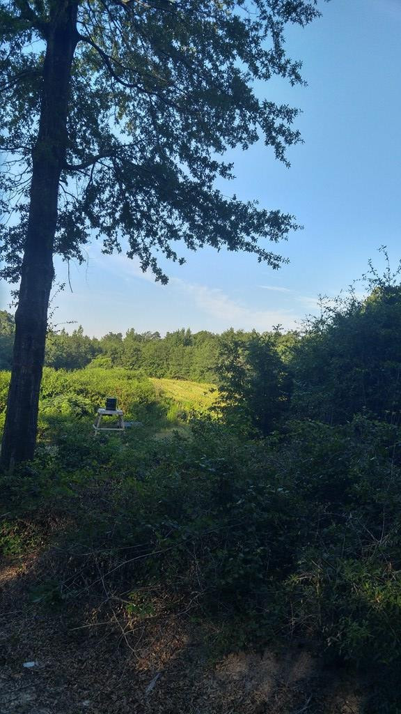 2707 Raborn Road Hephzibah, GA 30815 - Photo 3 of 10