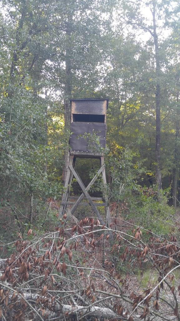 2707 Raborn Road Hephzibah, GA 30815 - Photo 4 of 10