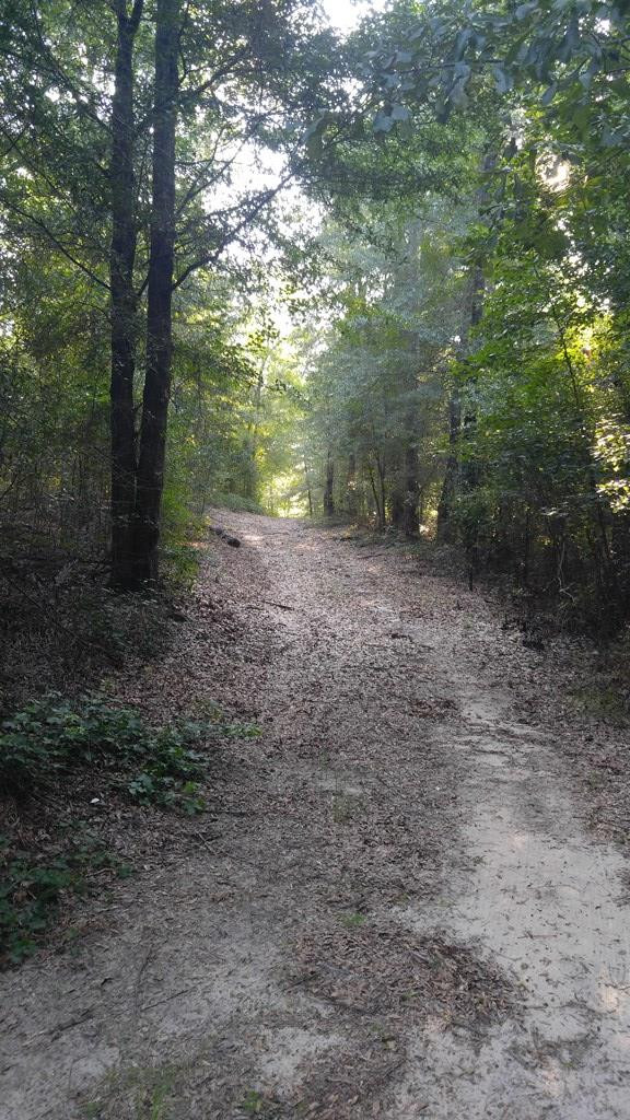 2707 Raborn Road Hephzibah, GA 30815 - Photo 5 of 10