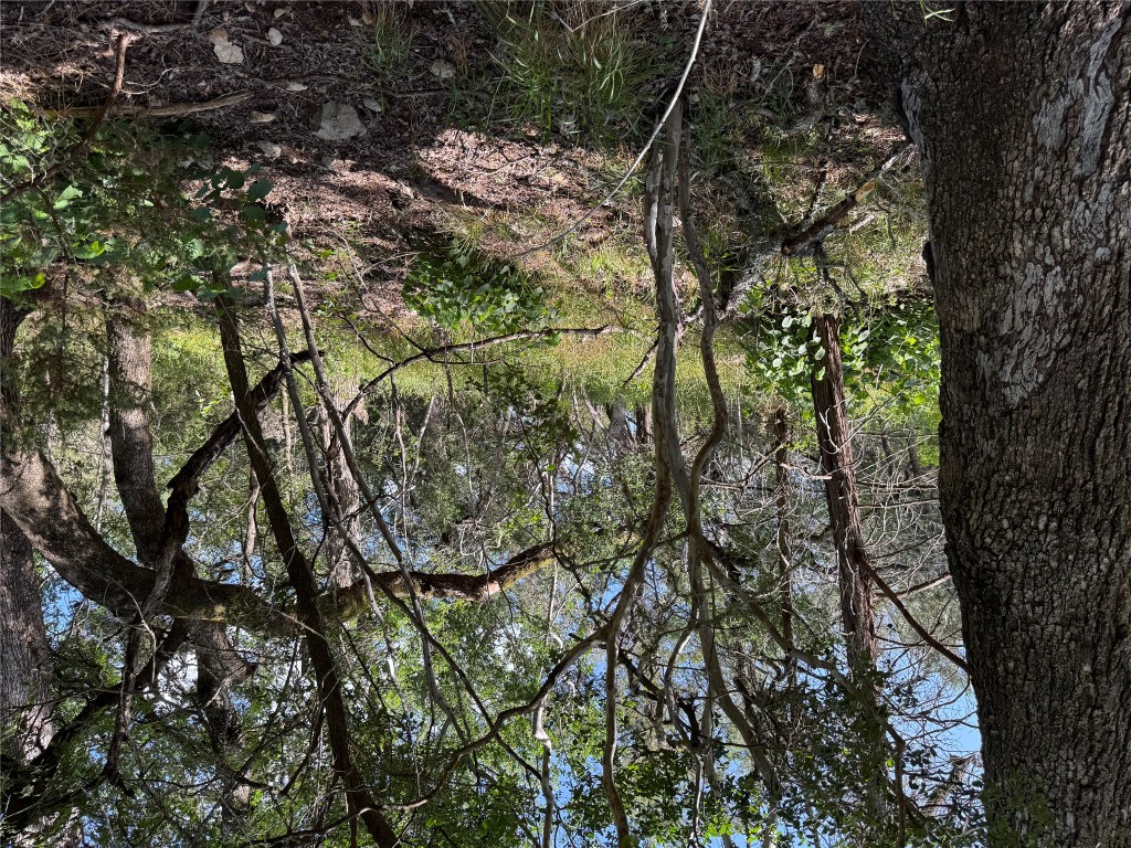 211 Hunters Glen Road San Marcos, TX 78666 - Photo 12 of 27 a view of a yard