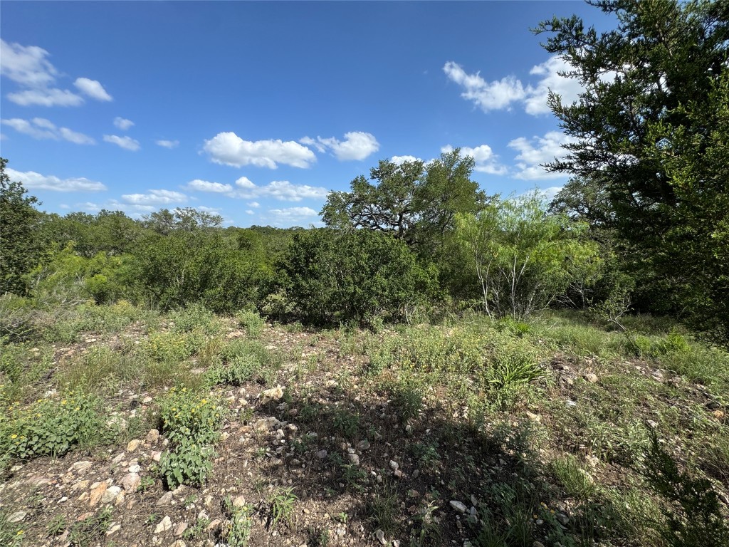 211 Hunters Glen Road San Marcos, TX 78666 - Photo 17 of 27 a view of a bunch of trees