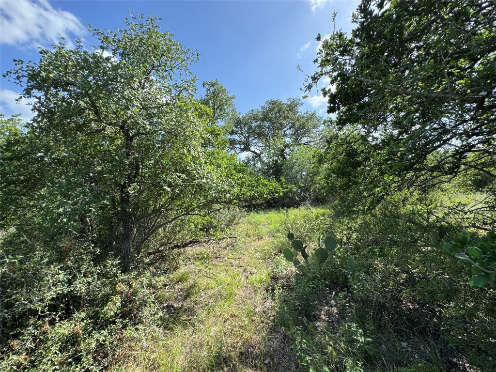 211 Hunters Glen Road San Marcos, TX 78666 - Photo 21 of 27 a view of a lush green forest