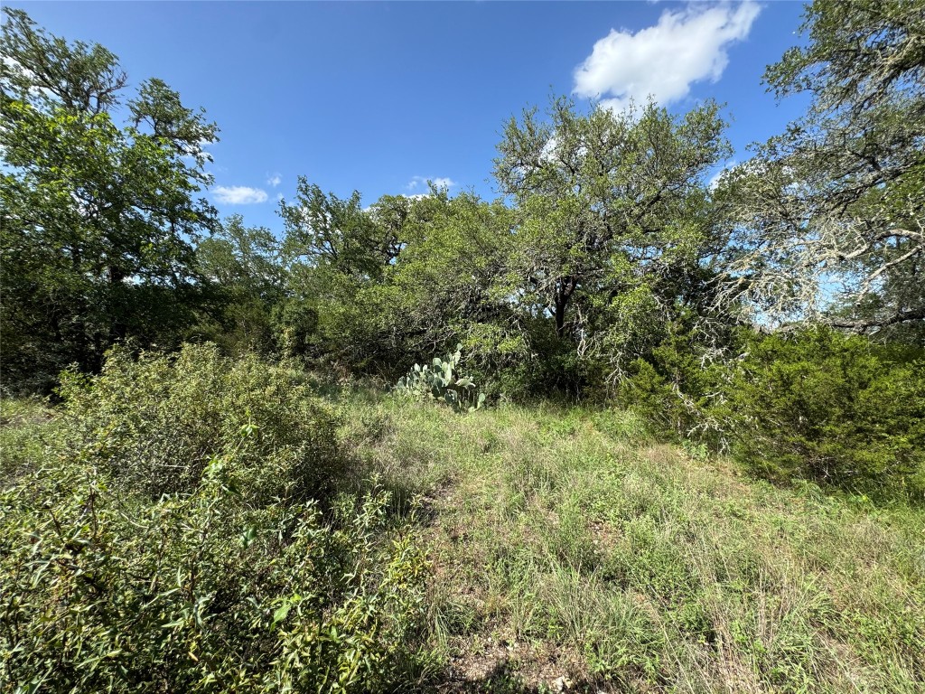 211 Hunters Glen Road San Marcos, TX 78666 - Photo 22 of 27 a view of a green field with lots of bushes
