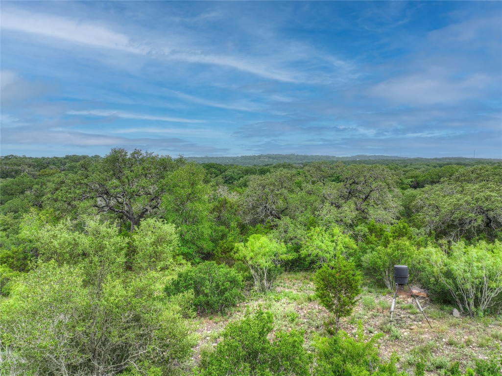 211 Hunters Glen Road San Marcos, TX 78666 - Photo 24 of 27 a view of a field of grass and trees