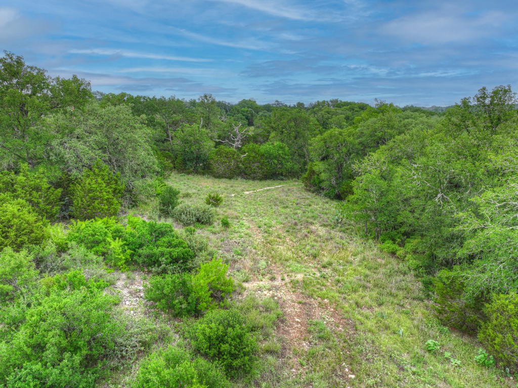 211 Hunters Glen Road San Marcos, TX 78666 - Photo 25 of 27 a view of a lush green space