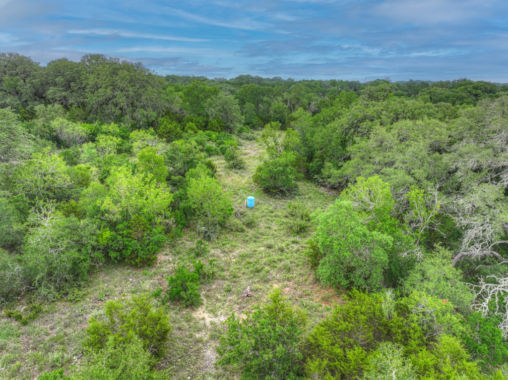 211 Hunters Glen Road San Marcos, TX 78666 - Photo 27 of 27 a view of a lush green forest