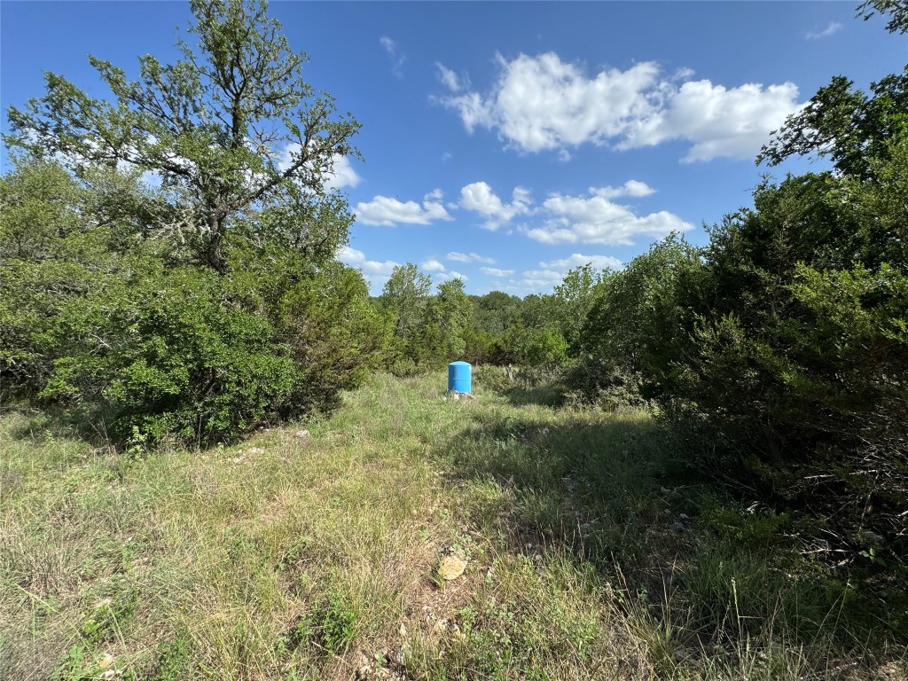 211 Hunters Glen Road San Marcos, TX 78666 - Photo 4 of 27 a view of a bunch of trees in a yard