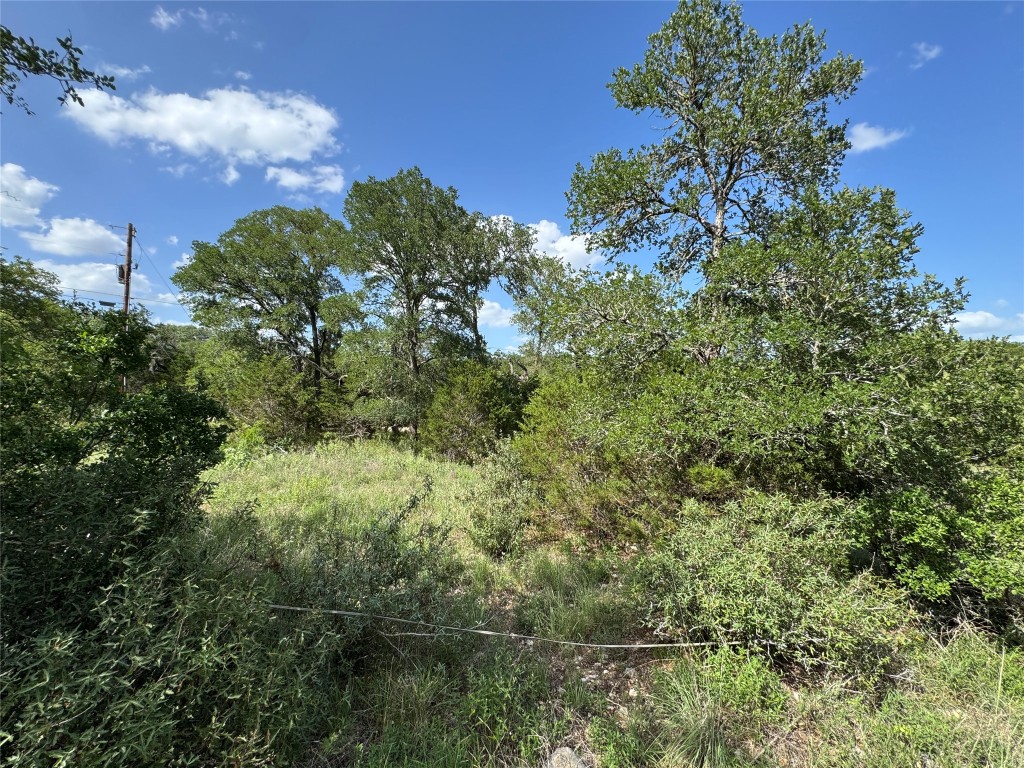 211 Hunters Glen Road San Marcos, TX 78666 - Photo 6 of 27 a view of a garden