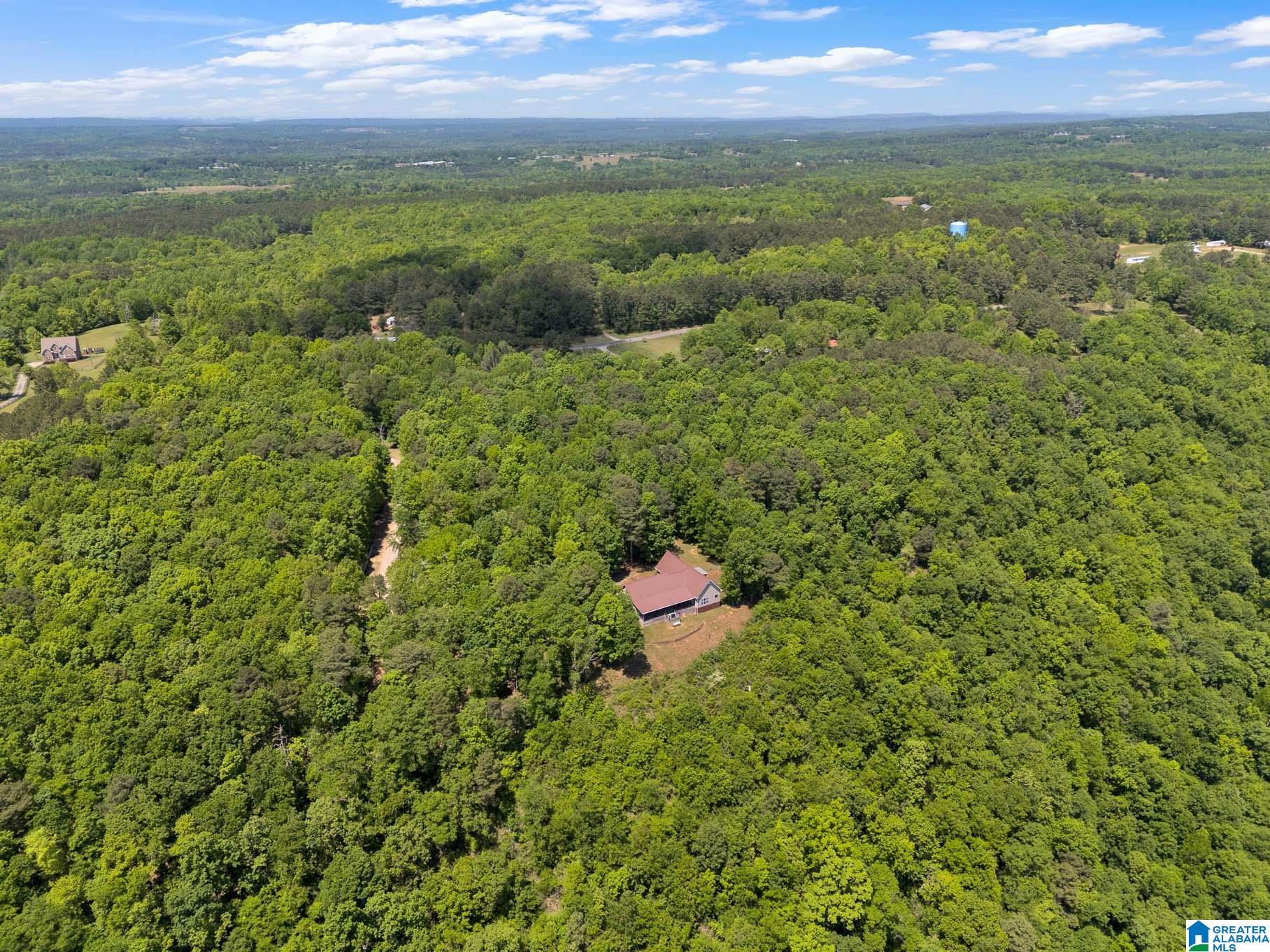 7076 Co Highway 24 Springville, AL 35146 - Photo 50 of 60