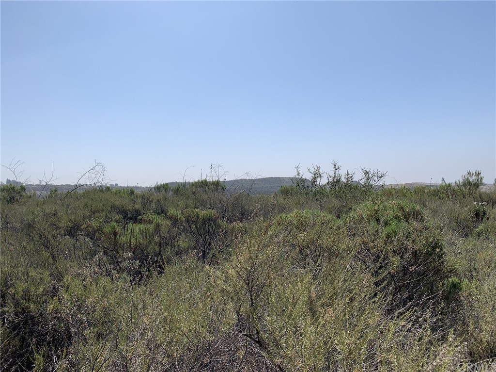 3099 Oasis Road Pinon Hills, CA 92372 - Photo 1 of 1