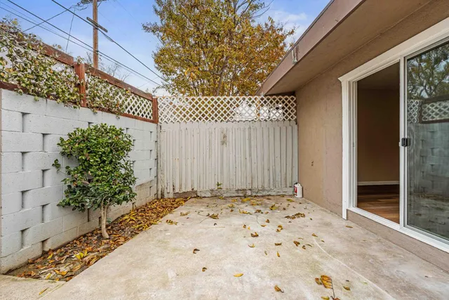 a view of backyard with potted plants