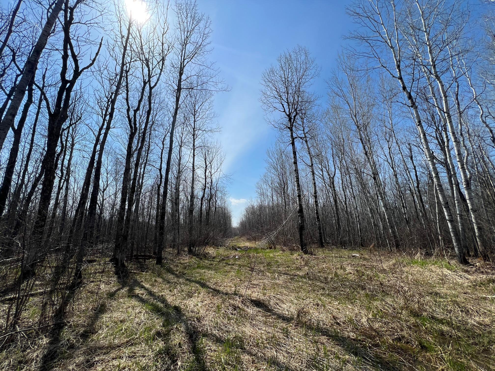 Tbd Gulley Road Maple, WI 54854 - Photo 13 of 27