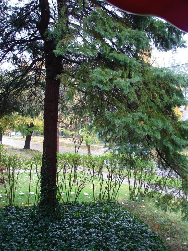 303 Maple Ridge Ann Arbor, MI 48103 - Photo 28 of 29 Photo 28