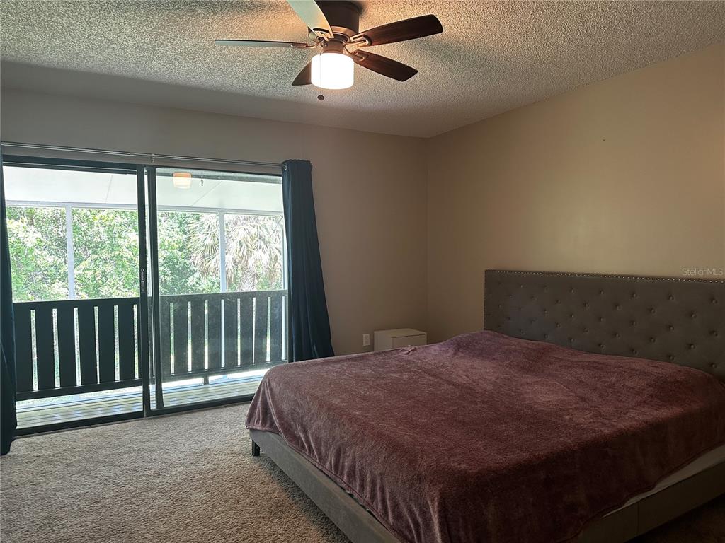 5434 Saddlebrook Way, Unit 3 Wesley Chapel, FL 33543 - Photo 14 of 17 a bedroom with a bed and a ceiling fan