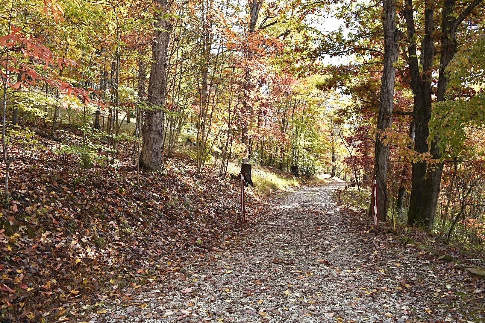1067 Spring Branch Road Wayne, WV 25570 - Photo 24 of 30 Gallery Image 24