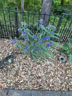 $599,900 | 4015 Pilgrim Trail, Greenbrier, TN 37073