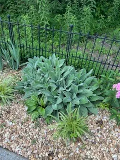 $599,900 | 4015 Pilgrim Trail, Greenbrier, TN 37073