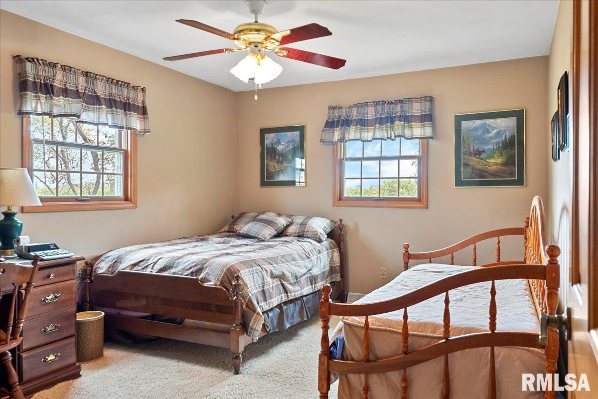 716 West Main Street Rochester, IL 62563 - Photo 24 of 43