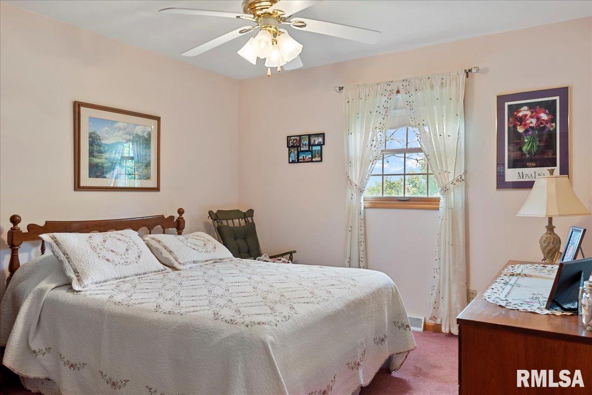 716 West Main Street Rochester, IL 62563 - Photo 26 of 43