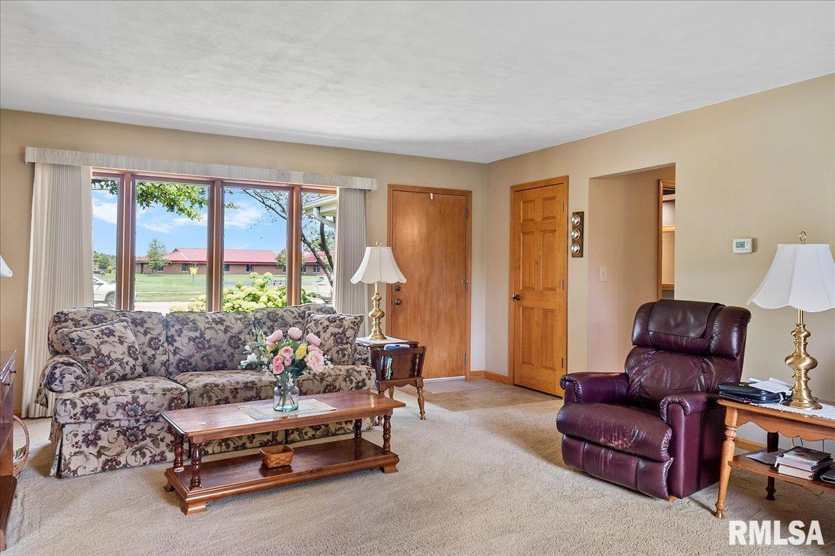716 West Main Street Rochester, IL 62563 - Photo 7 of 43