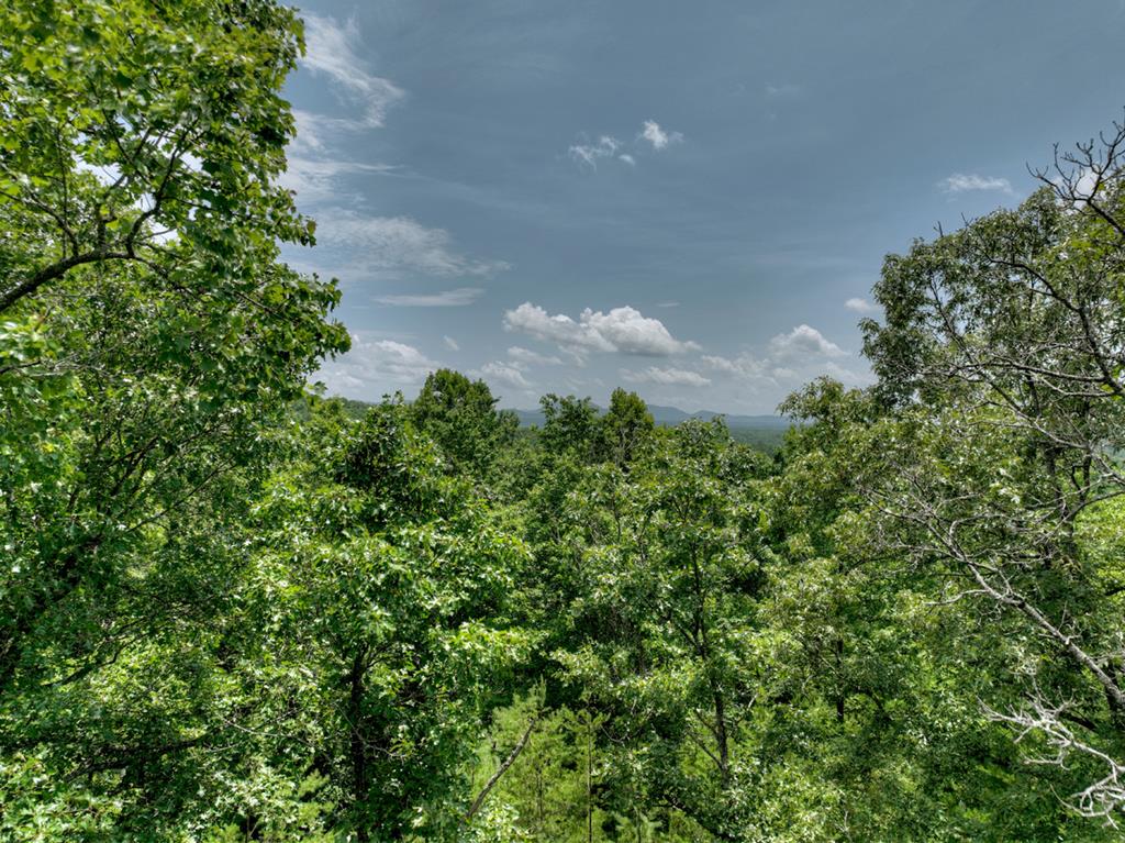 Lt C Dillons Ridge Road Morganton, GA 30560 - Photo 1 of 18 Main View