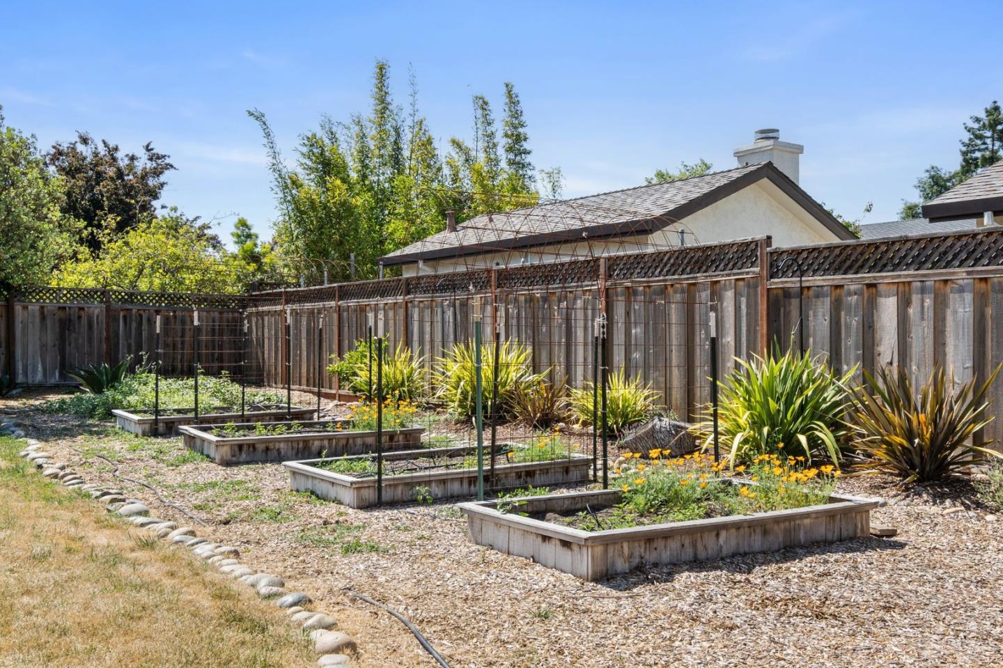 1363 Ramon Drive Sunnyvale, CA 94087 - Photo 26 of 36 a view of a backyard with plants and tree