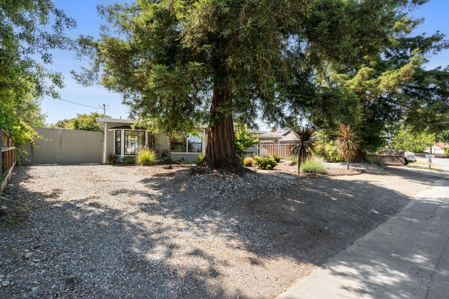 1363 Ramon Drive Sunnyvale, CA 94087 - Photo 5 of 36 a view of a yard with plants and trees