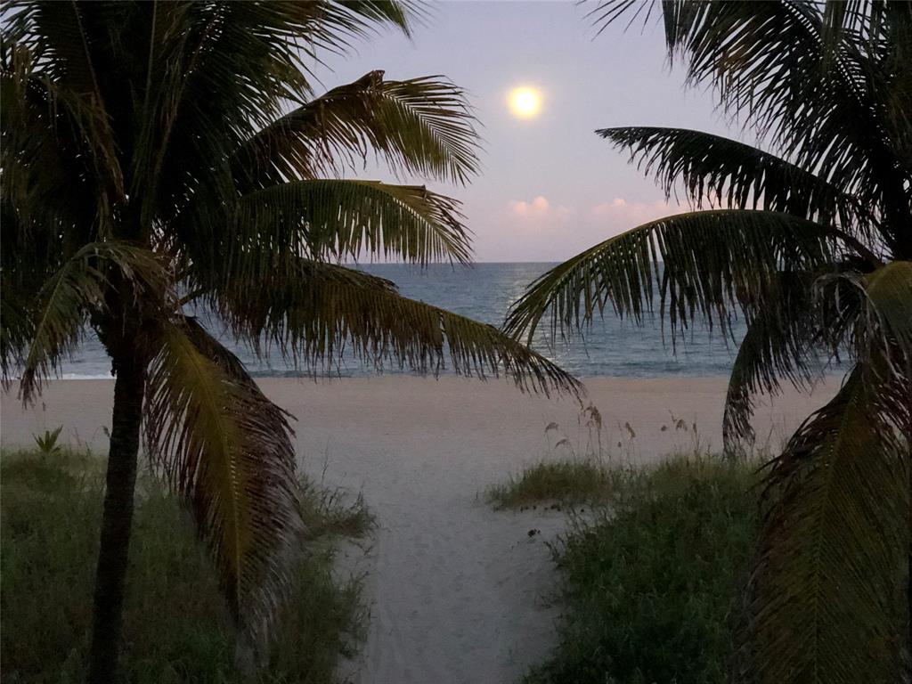1620 South Ocean Boulevard, Unit 15J Lauderdale-by-the-Sea, FL 33062 - Photo 28 of 28 a view of outdoor space with palm trees