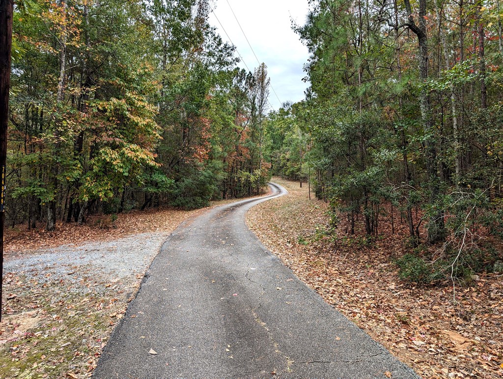 1028 Cold Springs Road Pine Mountain, GA 31822 - Photo 30 of 30 PAVED DRIVEWAY