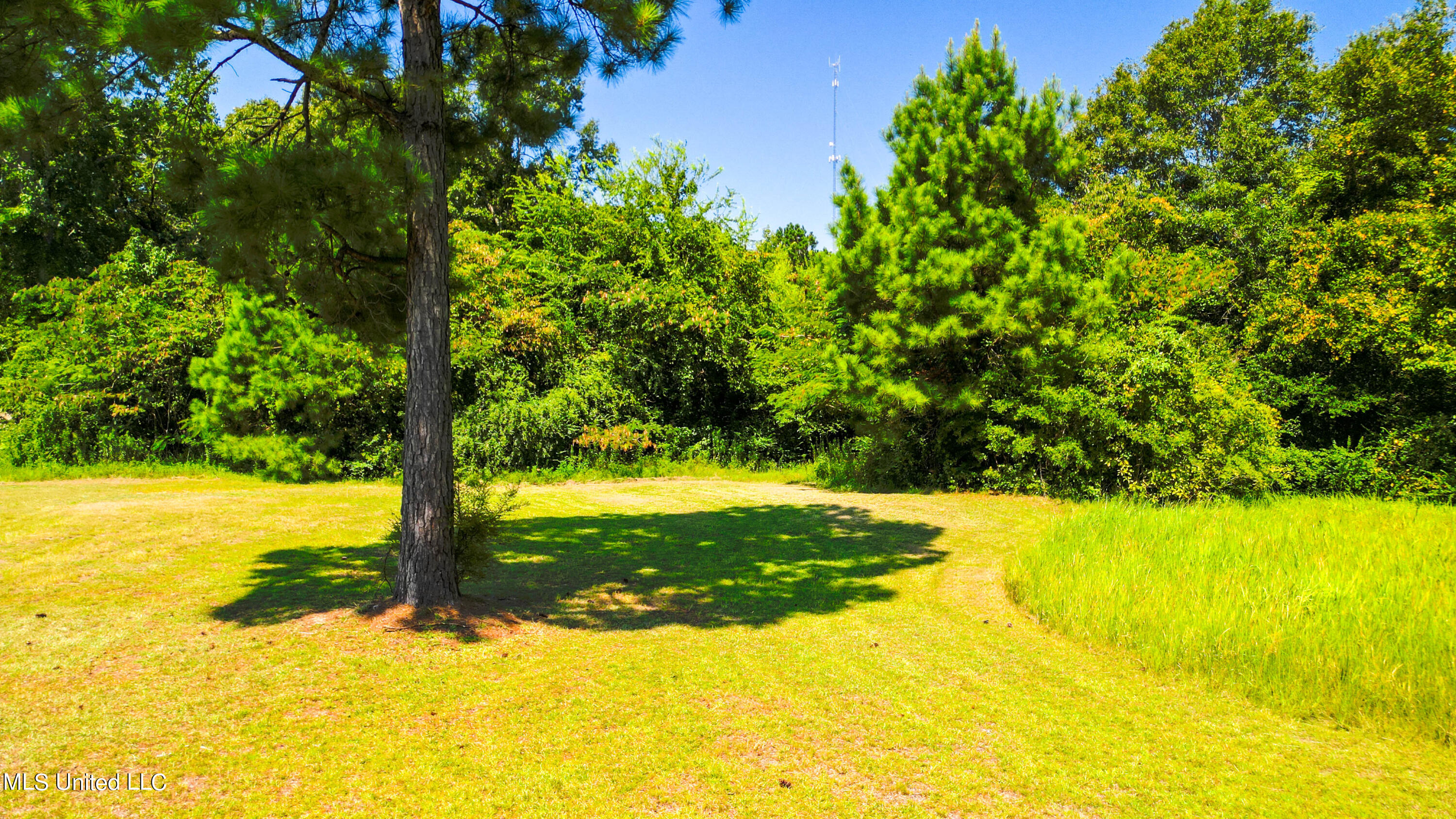 6877 Union Road Richton, MS 39476 - Photo 25 of 30 6877 Union Rd Richton-25