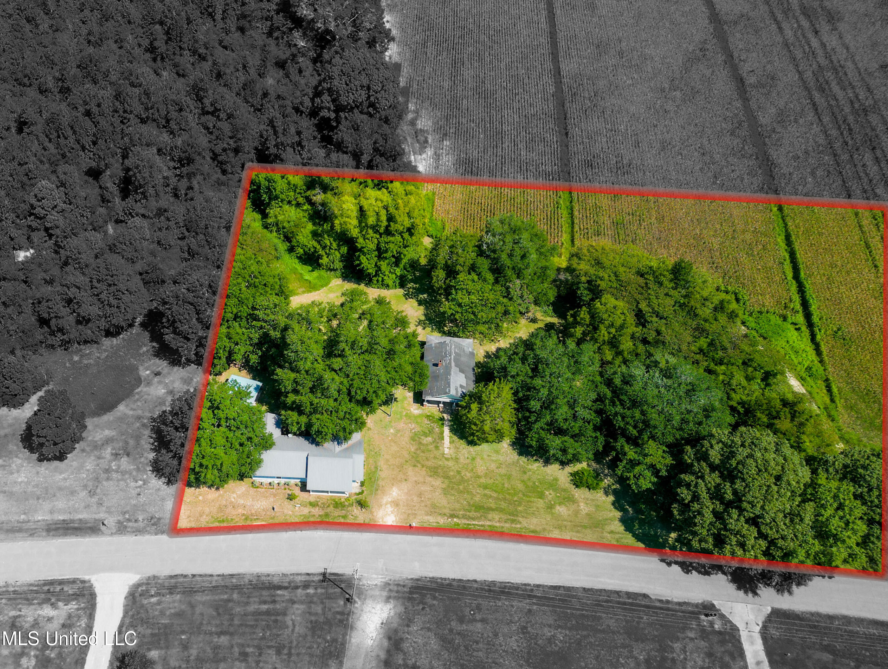 6877 Union Road Richton, MS 39476 - Photo 27 of 30 6877 Union Rd Richton-27 copy