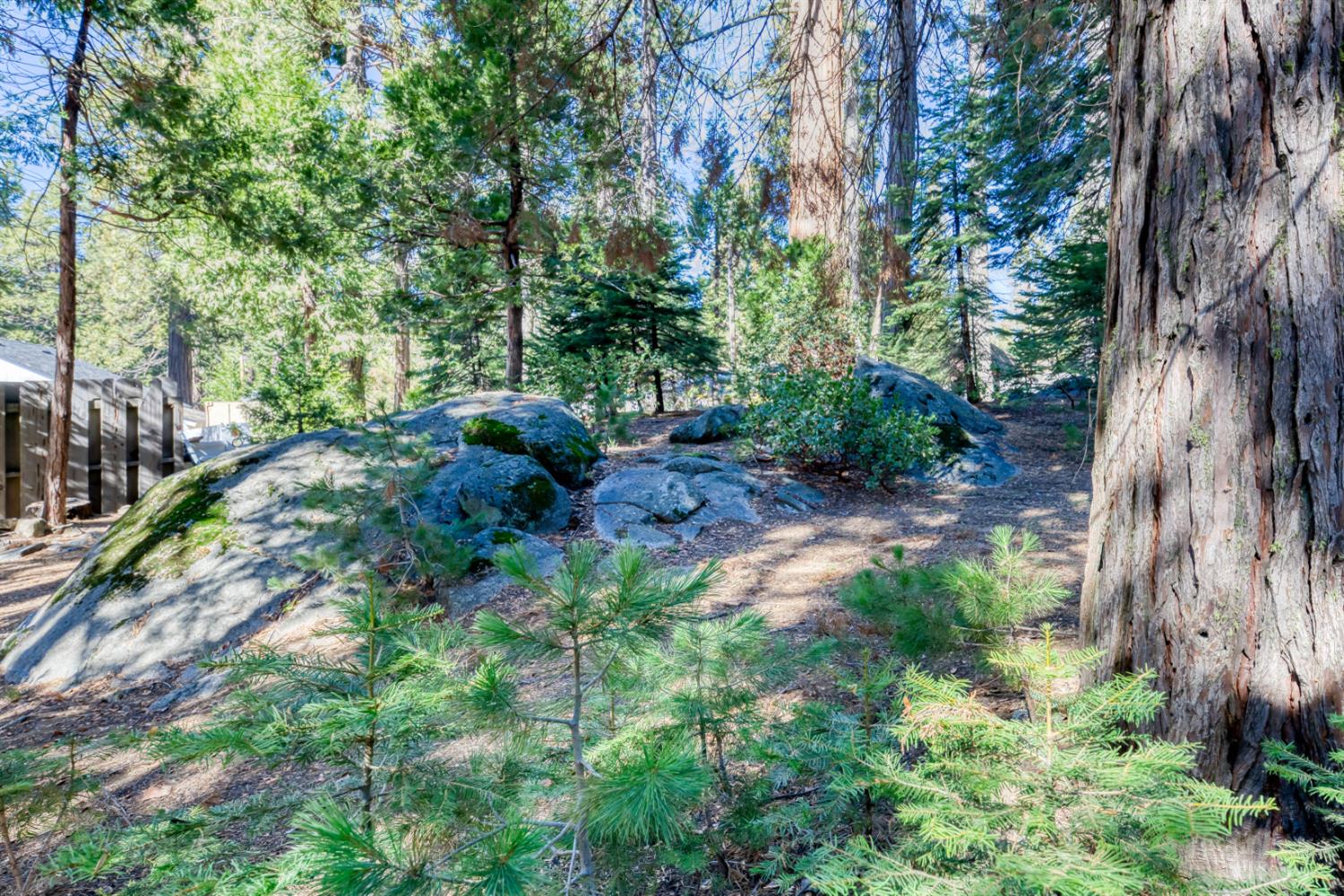 41593 Tollhouse Road Shaver Lake, CA 93664 - Photo 55 of 55 a backyard of a house with lots of green space
