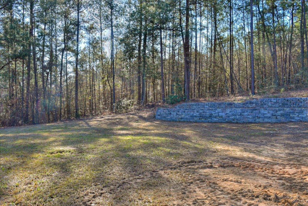 2352 Willis Foreman Road Hephzibah, GA 30815 - Photo 27 of 28