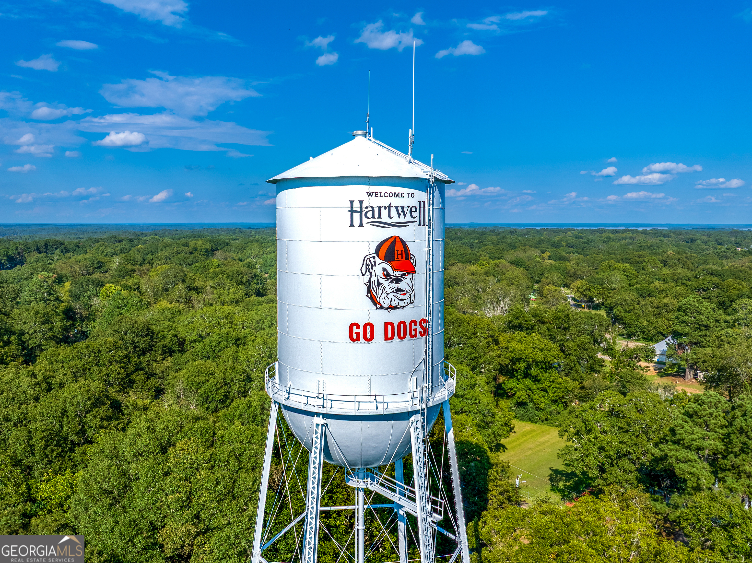 142 Fairview Street Hartwell, GA 30643 - Photo 38 of 39