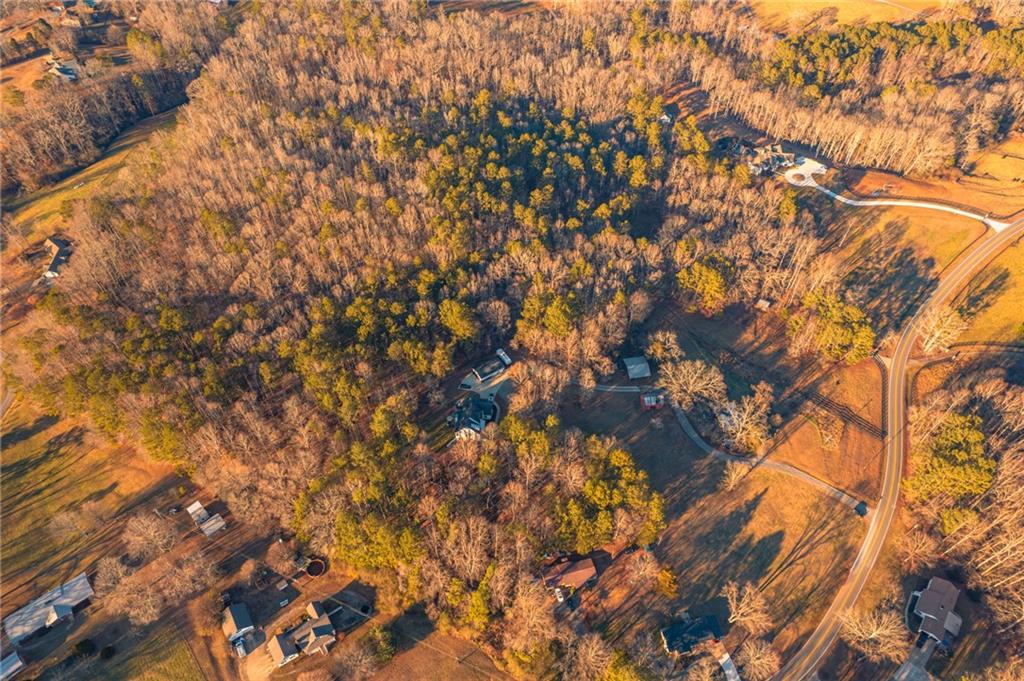 873 Long Road Ball Ground, GA 30107 - Photo 13 of 18 a view of tree