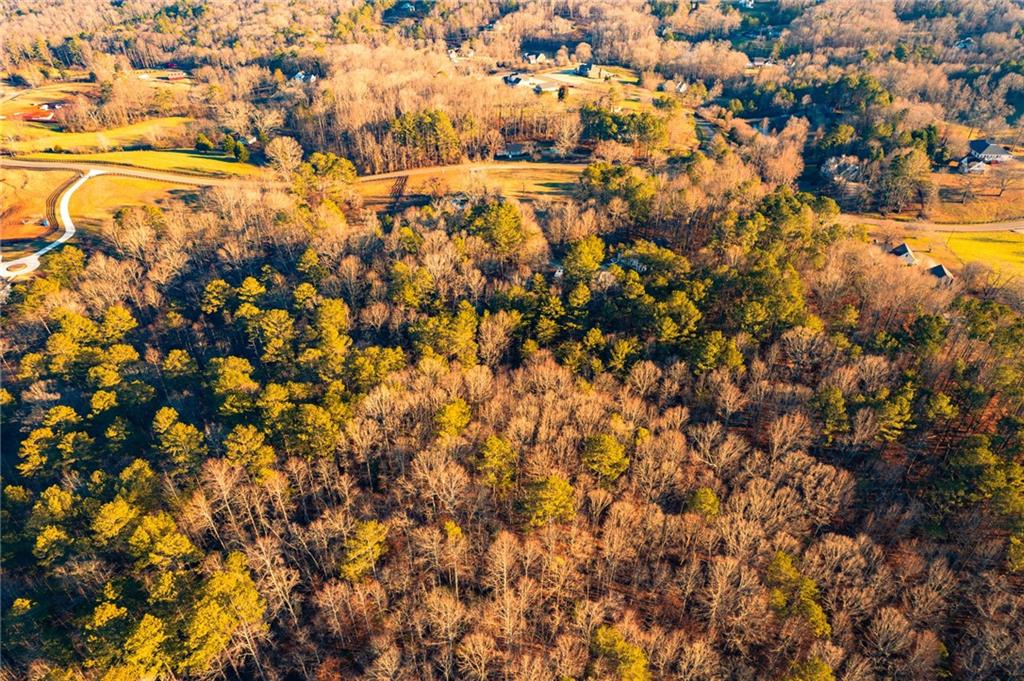 873 Long Road Ball Ground, GA 30107 - Photo 5 of 18