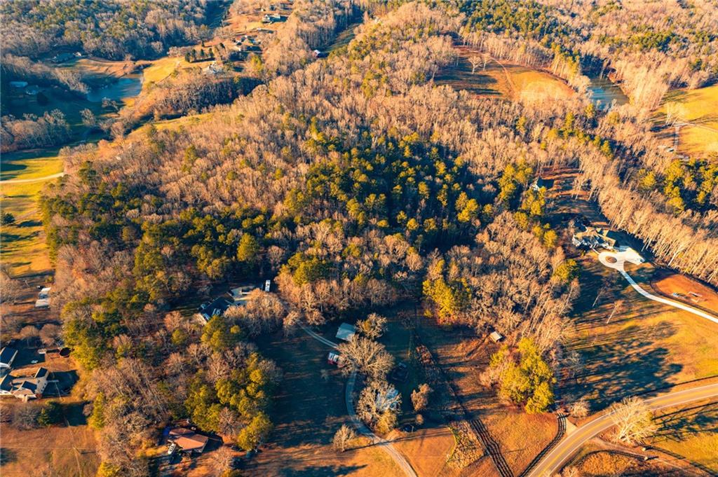 873 Long Road Ball Ground, GA 30107 - Photo 7 of 18