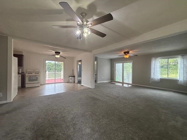 1010 Sandcut Road Madisonville, KY 42431 - Photo 11 of 19 Gallery Image 11