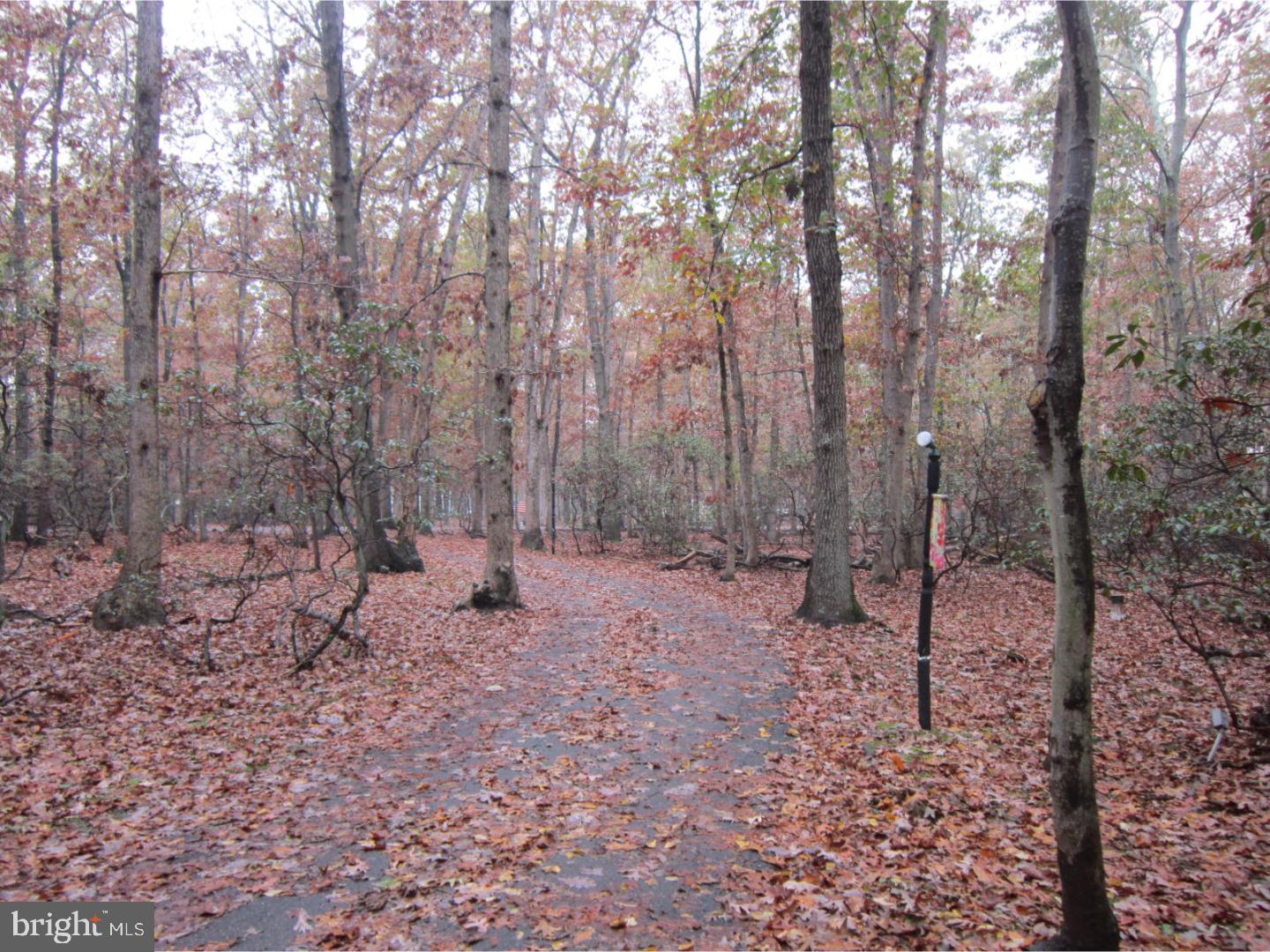 25 Gate Road Vincentown, NJ 08088 - Photo 3 of 13 Driveway