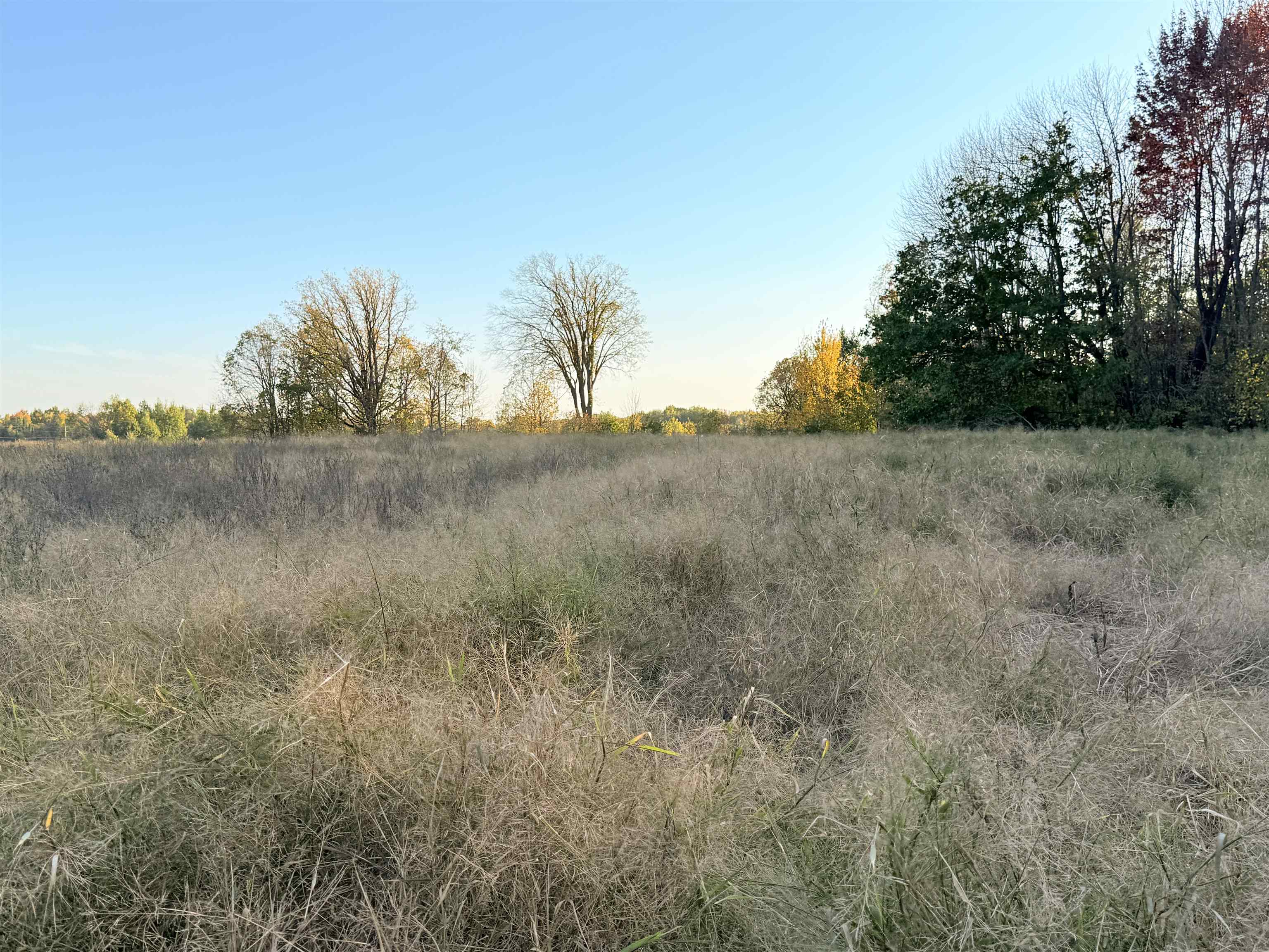 Lot 1 County Road Z Ringle, WI 54471 - Photo 5 of 17