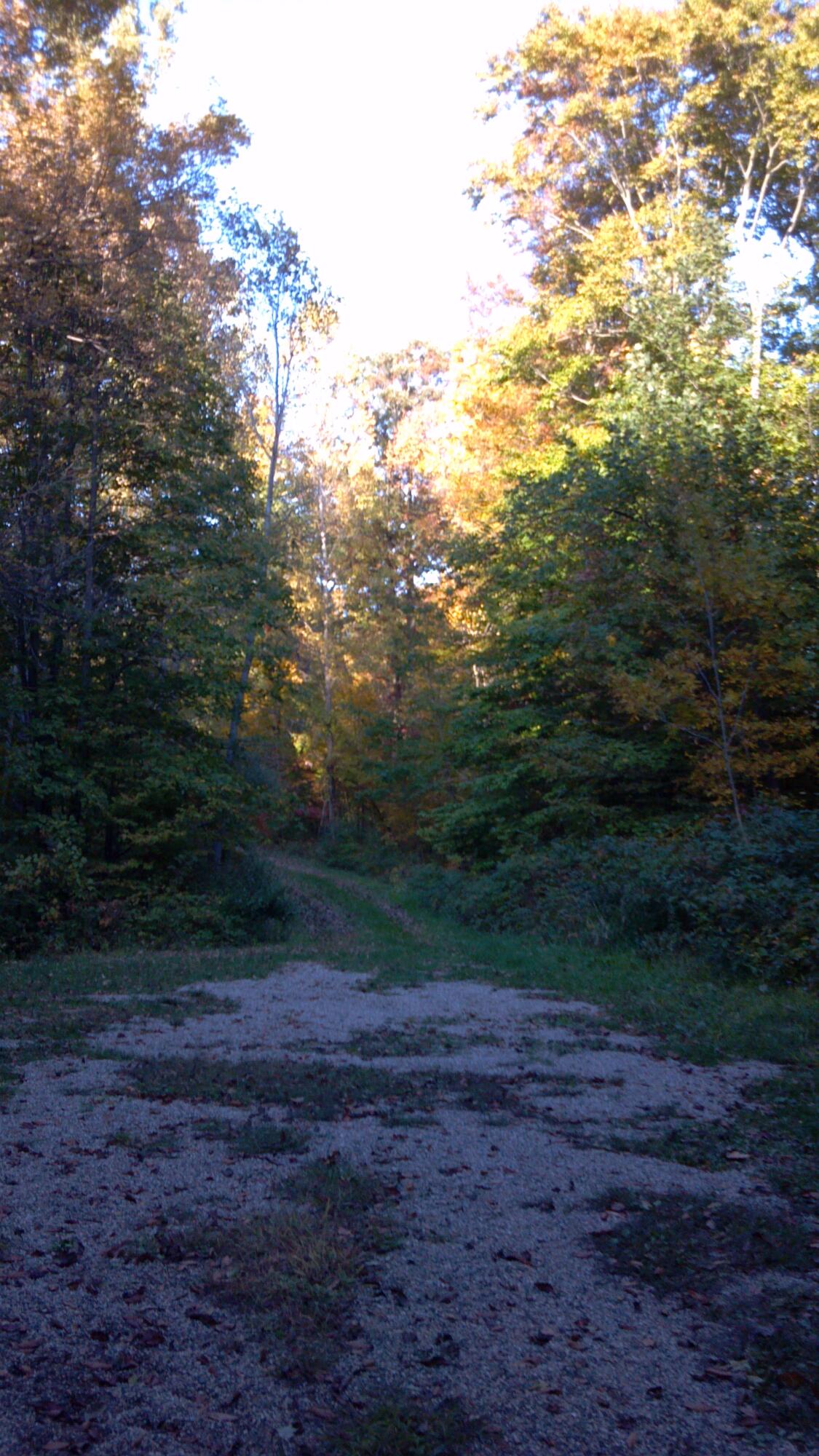 V/l Cook Road Hastings, MI 49058 - Photo 2 of 3 miller 2